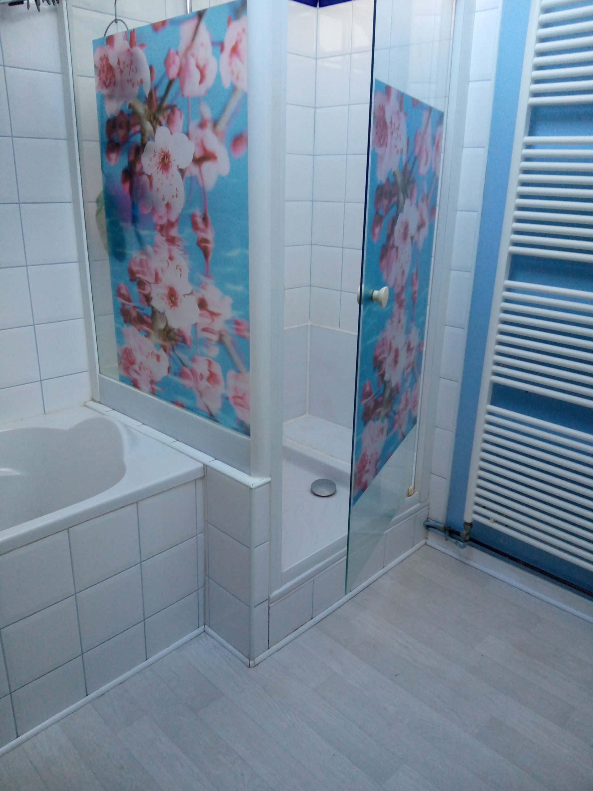 (Sous offre acceptée)Vichy Grande et belle Maison - Image 4