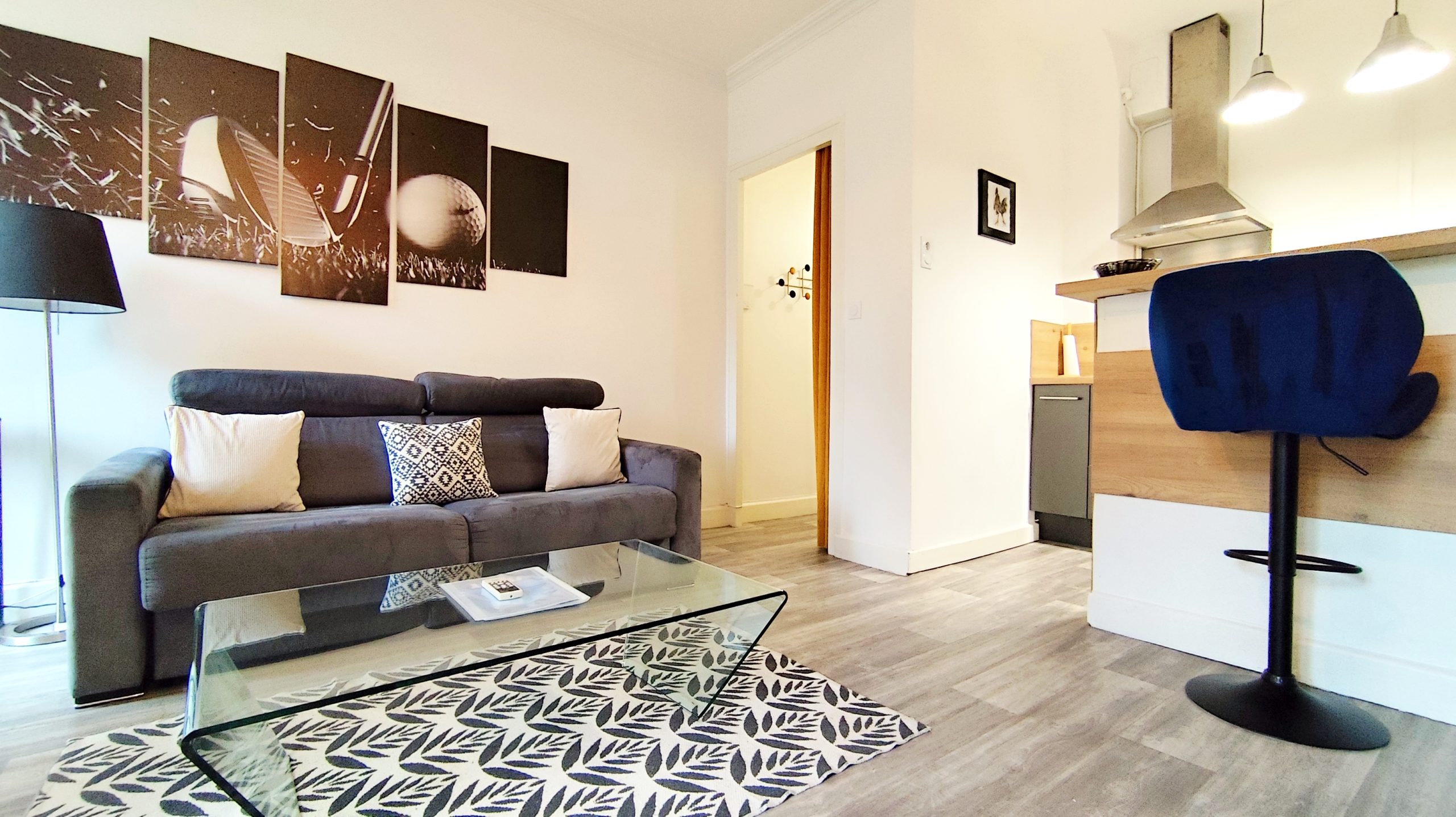 VICHY Bel appartement en duplex