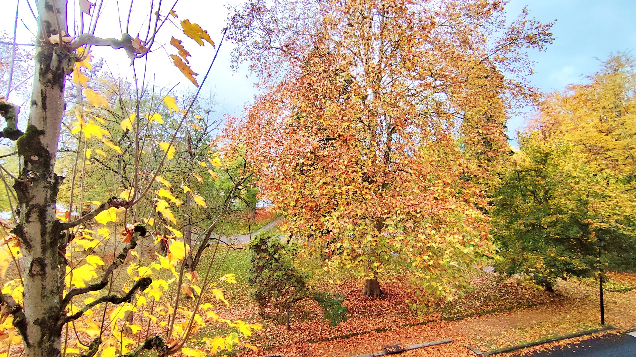 VICHY Bel appartement en duplex - Image 10