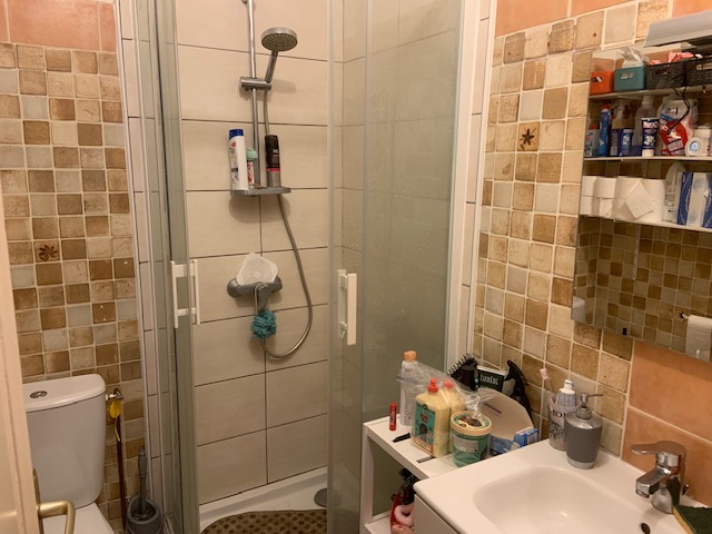 Proximité Parcs et Opéra Placement locatif - Image 5