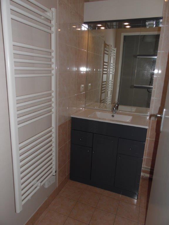 BELLERIVE SUR ALLIER – Les Berges du Lac - Image 2