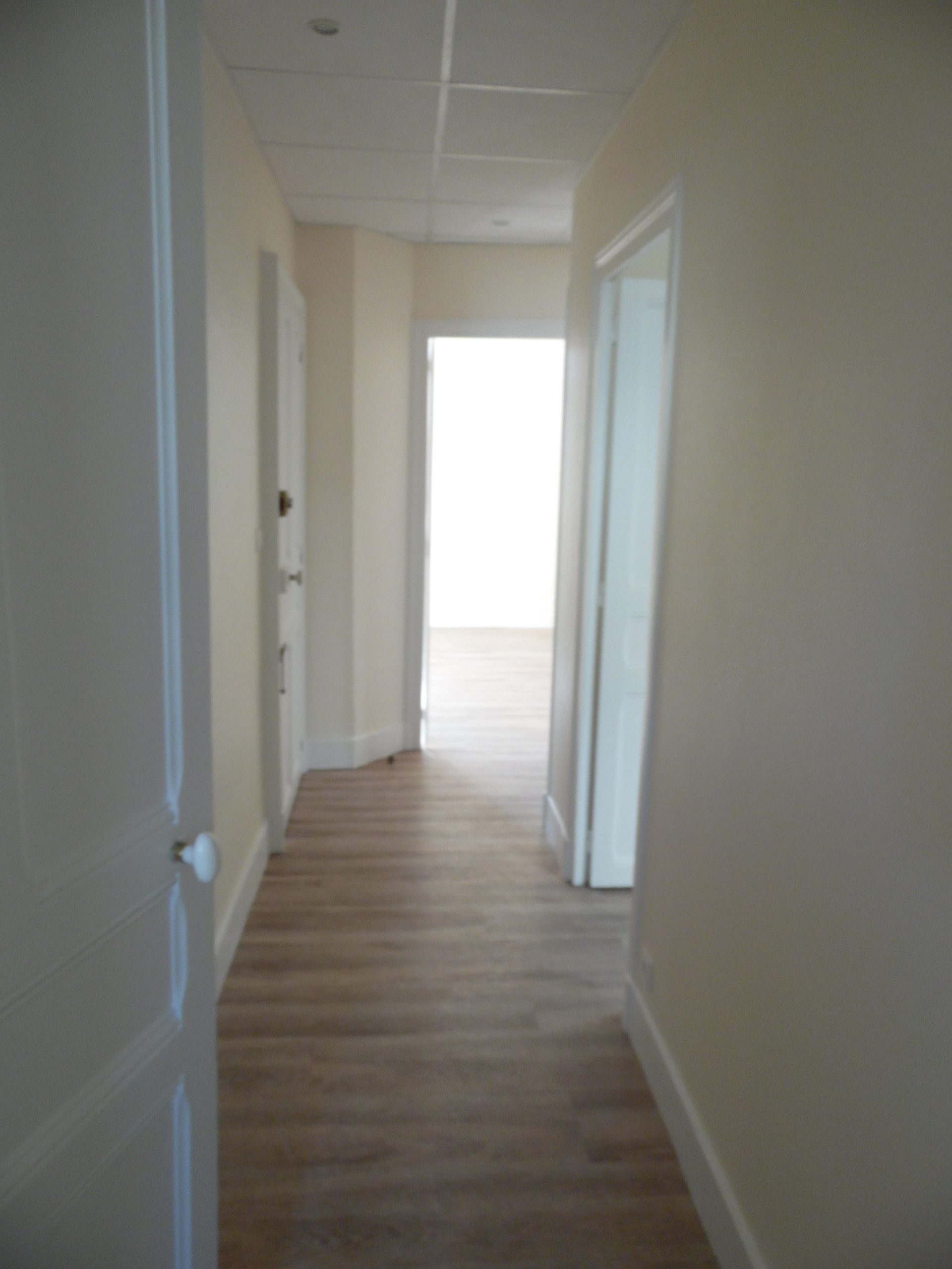 APPARTEMENT VICHY REPUBLIQUE - Image 2