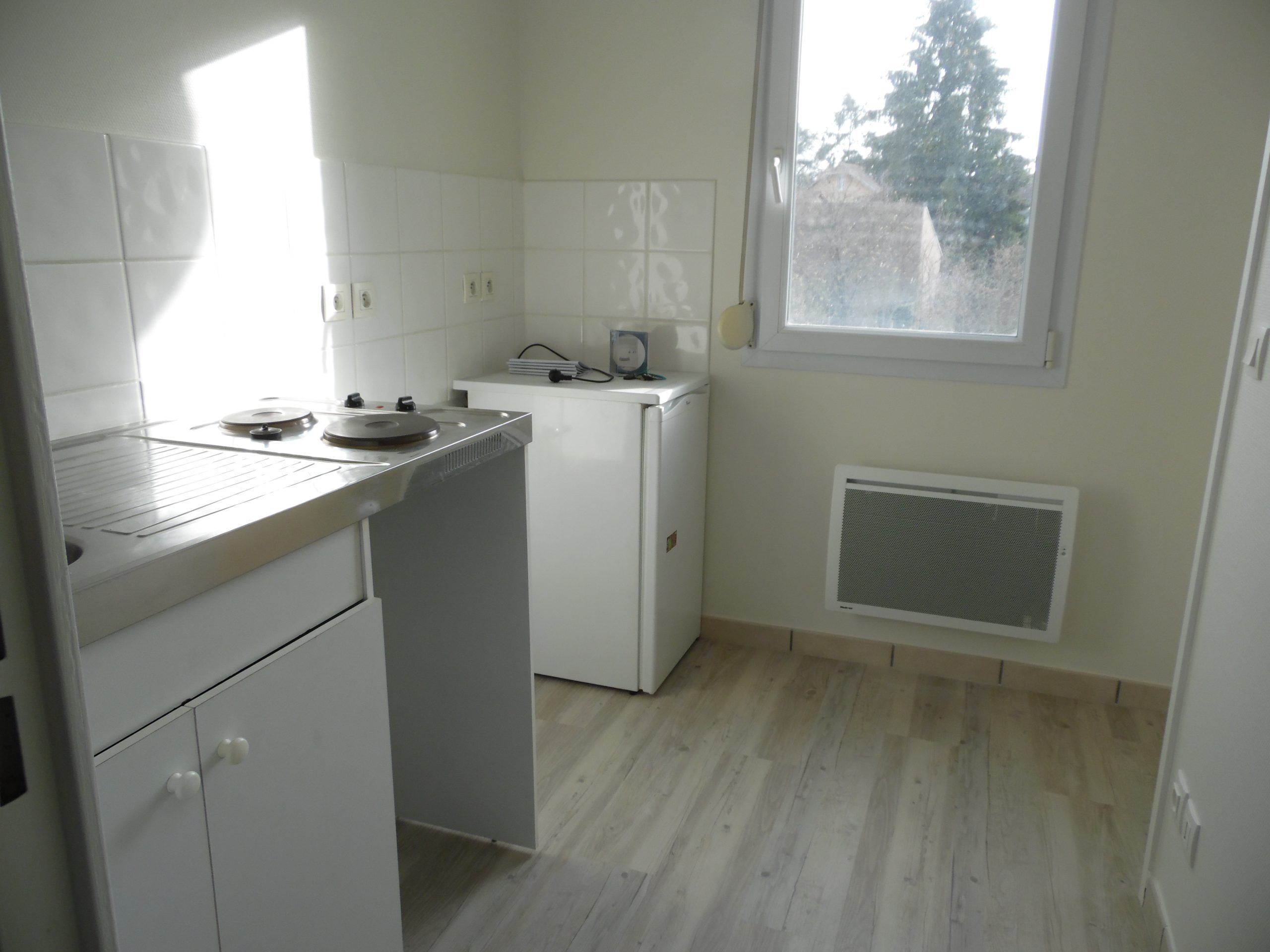 BELLERIVE SUR ALLIER – La Dame du Lac - Image 4