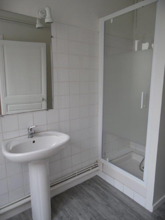 VICHY proximité Parcs des Célestins - Image 3