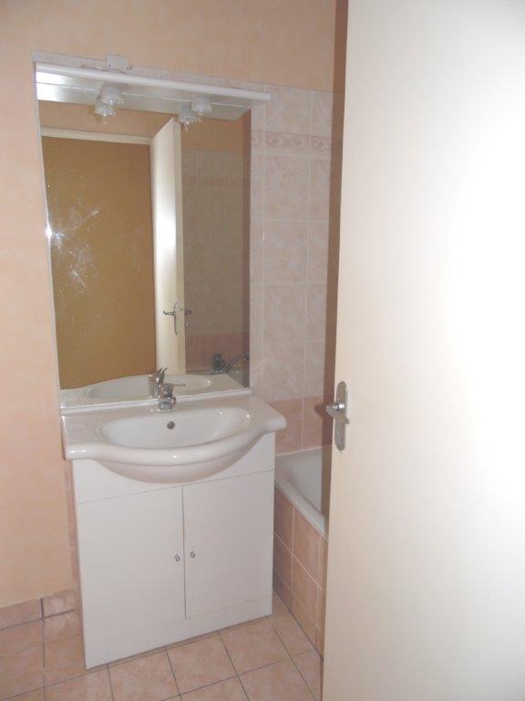 BELLERIVE SUR ALLIER – La Dame du Lac - Image 5