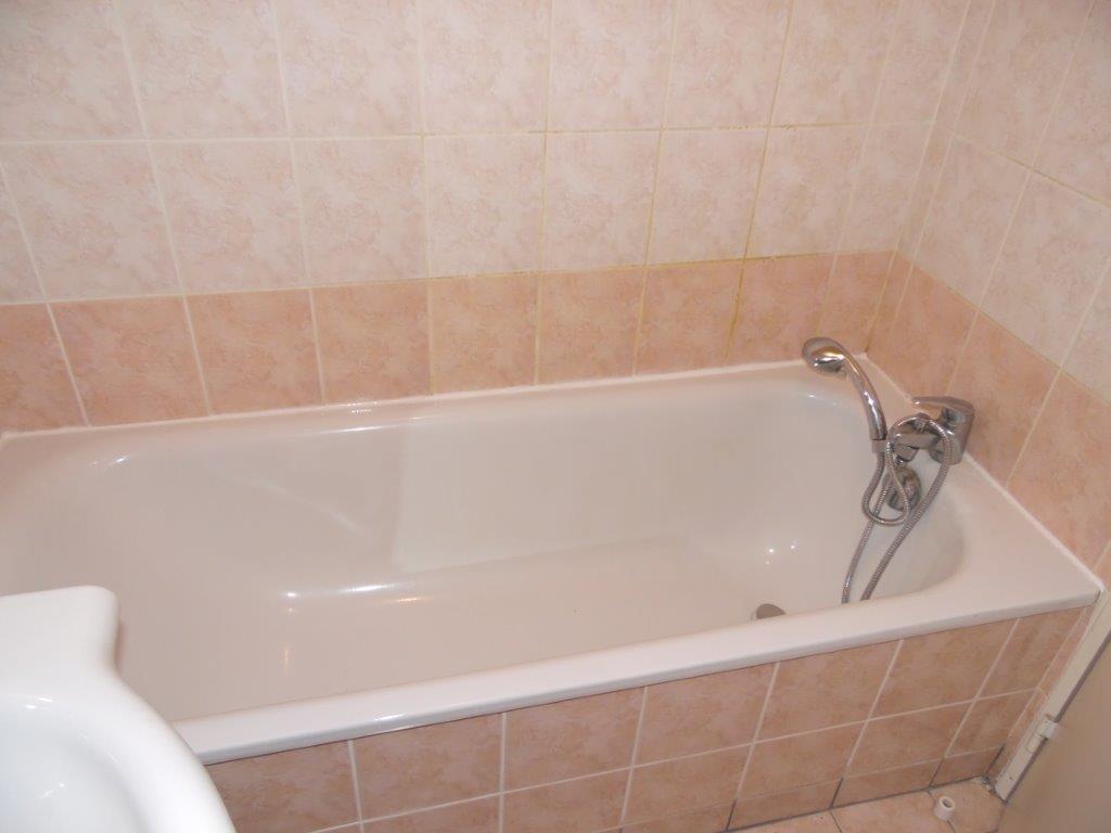 BELLERIVE SUR ALLIER – La Dame du Lac - Image 6