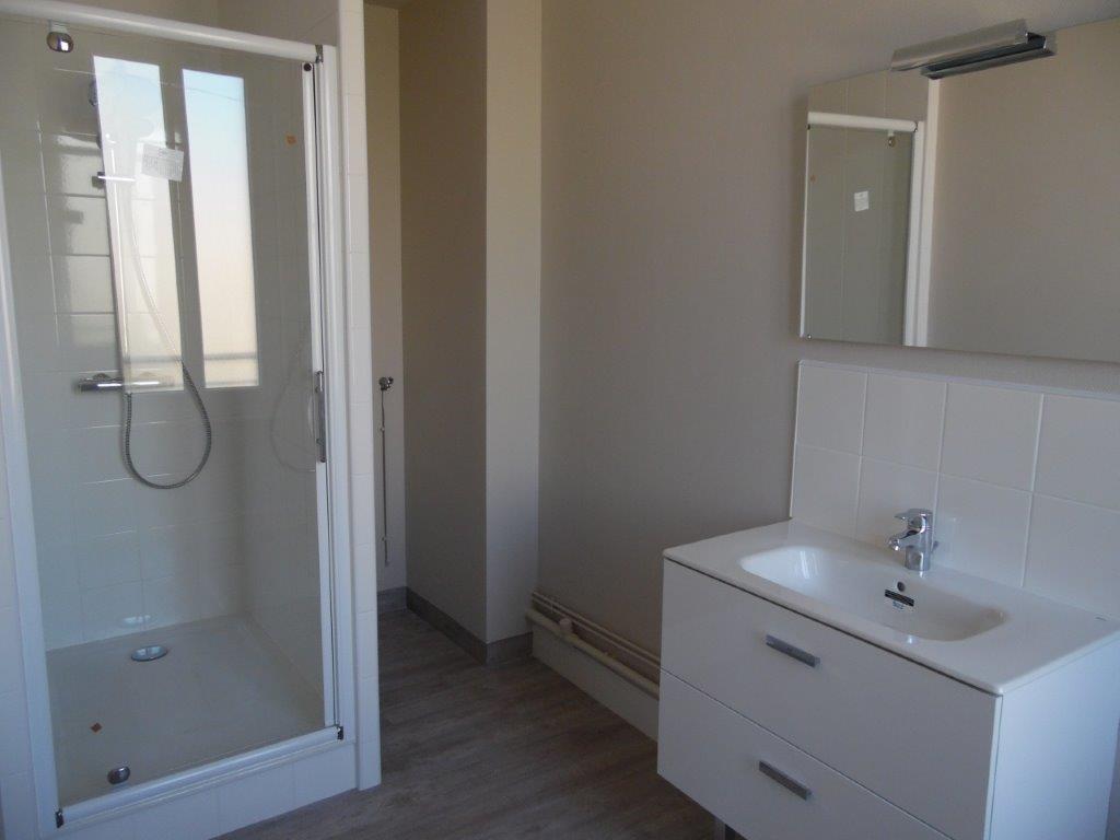 VICHY Quartier de France, proximité parcs - Image 6