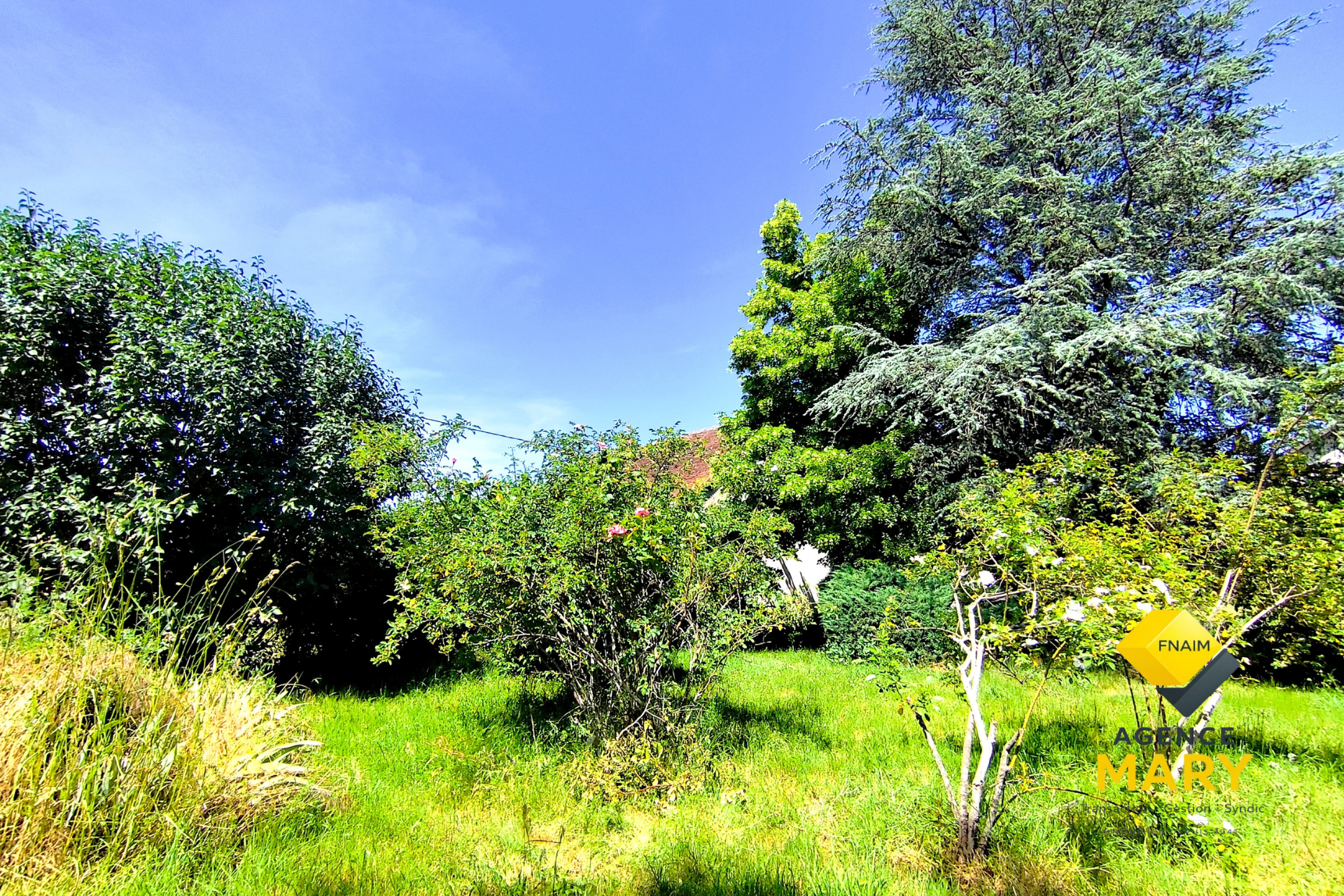 🏡 Maison familiale avec dépendance, jardin et terrain constructible – Saint Rémy en Rollat - Image 3