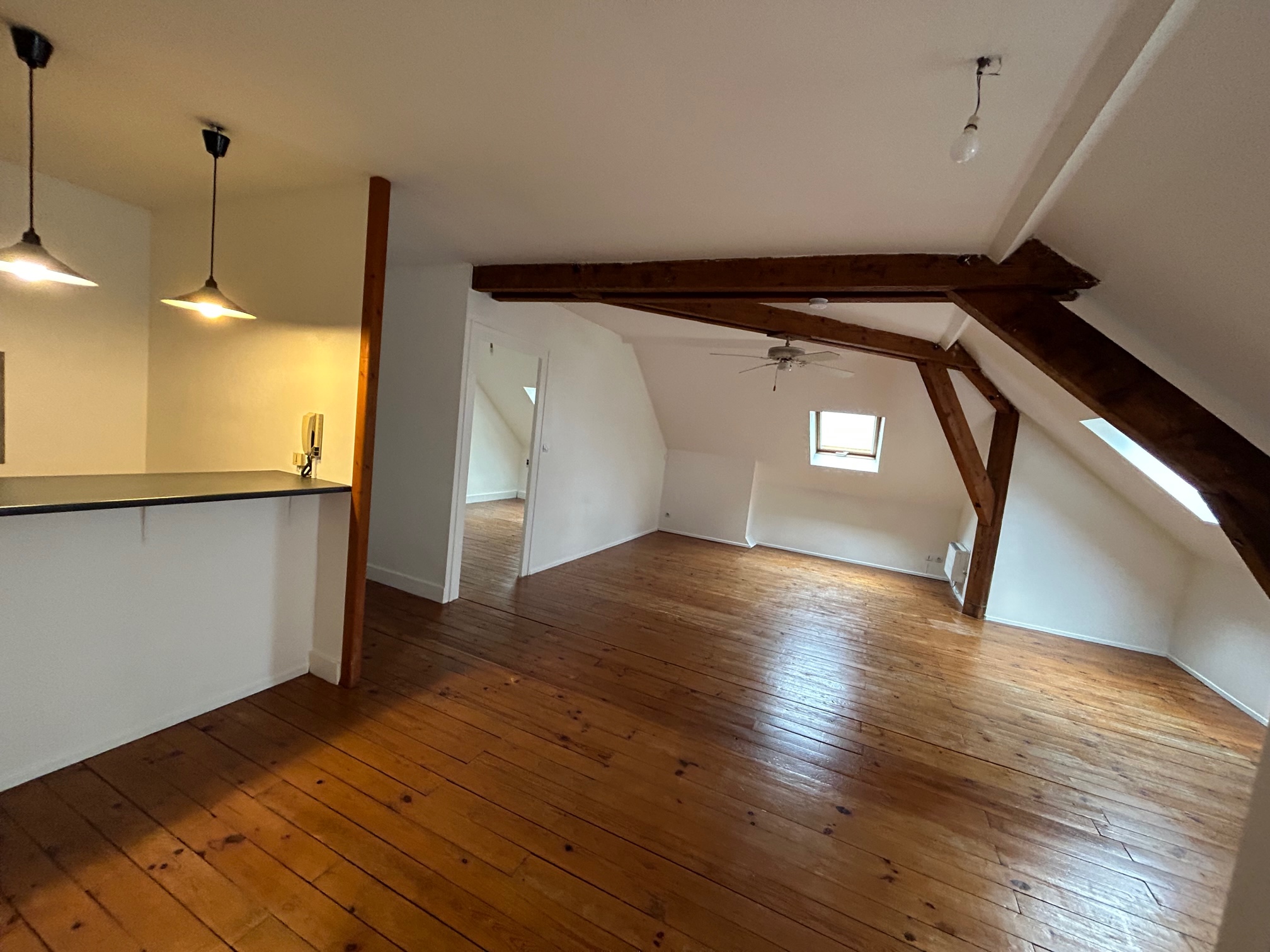 Appartement T3 de 58,79 m² – Rue de Paris, Vichy